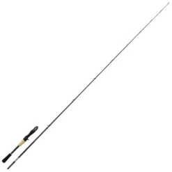 CANNE CASTING SHIMANO ROD SUSTAIN CASTING FAST