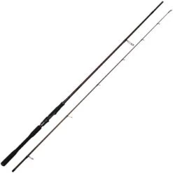 CANNE SPINNING WESTIN W4 POWERTEEZ 2ND