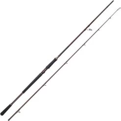 CANNE SPINNING WESTIN W6 POWERCAST
