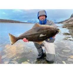 LEURRE COULANT STUCKI FISHING FANATICS LUCKY BEGGAR 85S - 8.5CM -Pêche Promotions Magasin leurre coulant stucki fishing fanatics lucky beggar 85s 85cm z 2739 273972 3