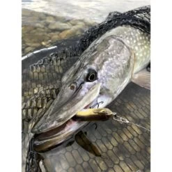 LEURRE COULANT STUCKI FISHING FANATICS LUCKY BEGGAR 85S - 8.5CM -Pêche Promotions Magasin leurre coulant stucki fishing fanatics lucky beggar 85s 85cm z 2739 273972 4