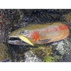 LEURRE COULANT STUCKI FISHING FANATICS QUARRY 60FS - 6CM -Pêche Promotions Magasin leurre coulant stucki fishing fanatics quarry 60fs 6cm z 2739 273977 3