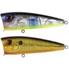 LEURRE DE SURFACE LIVINGSTON LURES WALK N POP - 12CM