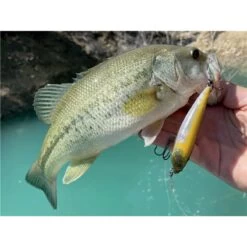 LEURRE DE SURFACE STUCKI FISHING FANATICS STRAYER 60F - 6CM -Pêche Promotions Magasin leurre de surface stucki fishing fanatics strayer 60f 6cm z 2739 273981 3