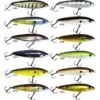 LEURRE FLOTTANT LIVINGSTON LURES PRO SIZZLE JR FRESH WATER 10CM 2 LEURRE FLOTTANT LIVINGSTON LURES PRO SIZZLE JR FRESH WATER 10CM -Pêche Promotions Magasin leurre flottant livingston lures pro sizzle jr fresh water 10cm z 1074 107494