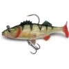 LEURRE SOUPLE ARME STORM WILDEYE LIVE PERCH - 6CM - PAR 3