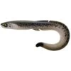 LEURRE SOUPLE FISHUP RAM GRUB - 25.5CM -Pêche Promotions Magasin leurre souple fishup ram grub 255cm z 2430 243078