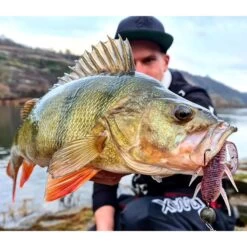 LEURRE SOUPLE MONKEY LURES CRABY LUI - 10CM - PAR 5 8 LEURRE SOUPLE MONKEY LURES CRABY LUI - 10CM - PAR 5 -Pêche Promotions Magasin leurre souple monkey lures craby lui 10cm par 5 z 2449 244999 3