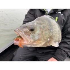 LEURRE SOUPLE MONKEY LURES CRABY LUI - 7.5CM - PAR 6 8 LEURRE SOUPLE MONKEY LURES CRABY LUI - 7.5CM - PAR 6 -Pêche Promotions Magasin leurre souple monkey lures craby lui 75cm par 6 z 2449 244992 3